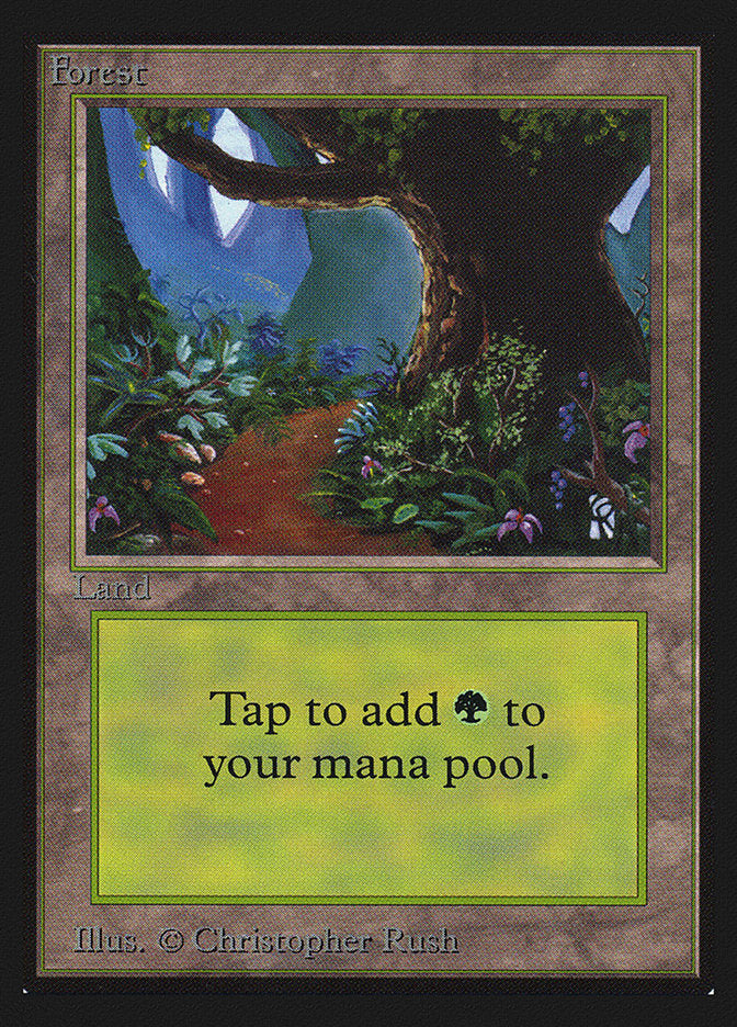 Forest (#301) [International CollectorsÃ¢â‚¬â„¢ Edition]