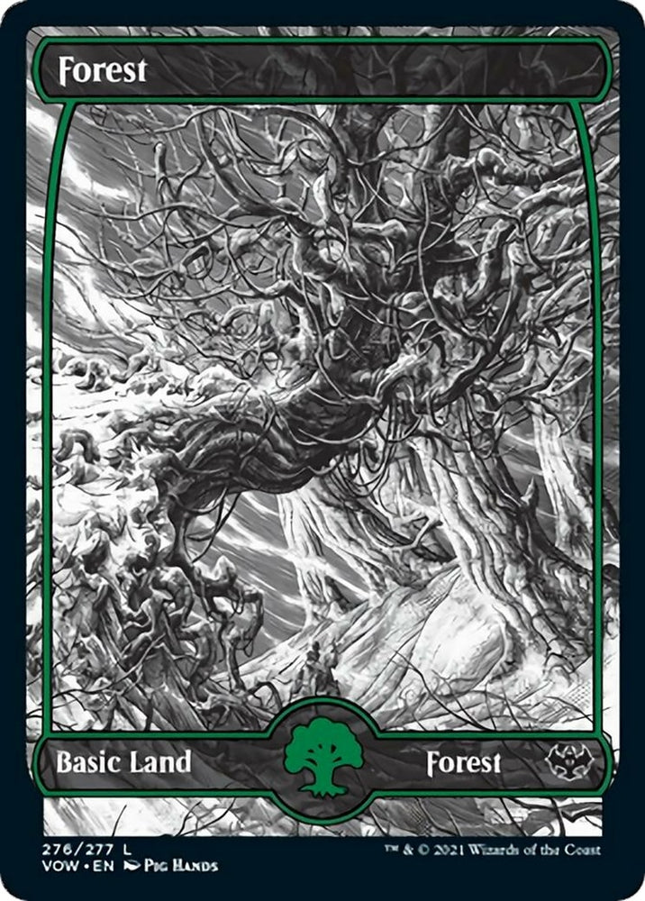 Image for Forest (276) (276) [Innistrad: Crimson Vow] (VOW) - Magic: The Gathering