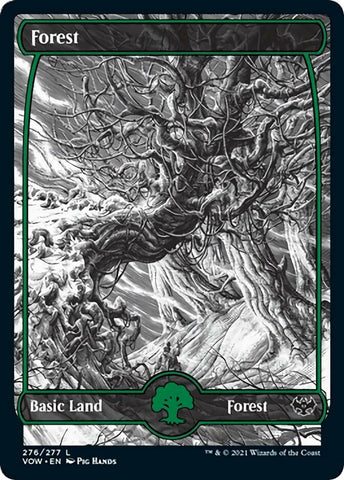 Image for Forest (276) (276) [Innistrad: Crimson Vow] (VOW) - Magic: The Gathering