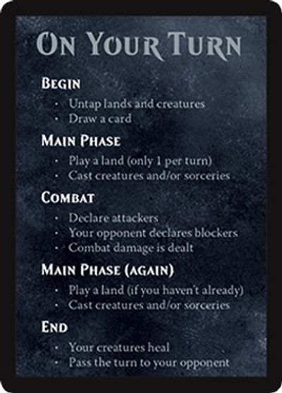 Rules Card (Spellslinger - Boros) [Unique and Miscellaneous Promos]
