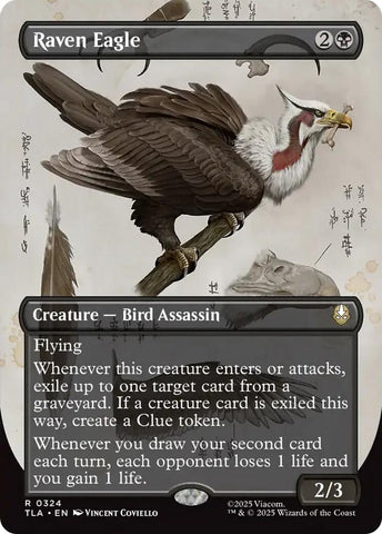 Image for Raven Eagle (Borderless) (324) [Avatar: The Last Airbender] - Magic: The Gathering