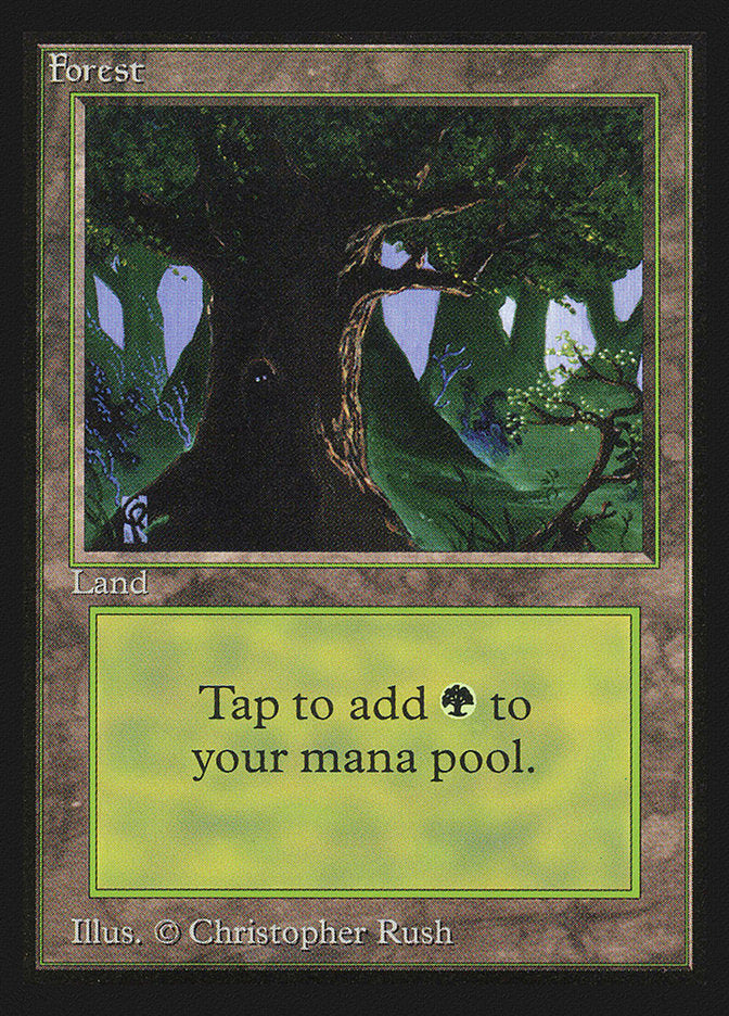 Forest (#302) [International CollectorsÃ¢â‚¬â„¢ Edition]