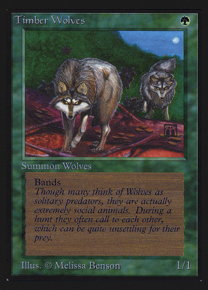Timber Wolves (CE) [CollectorsÃ¢â‚¬â„¢ Edition]