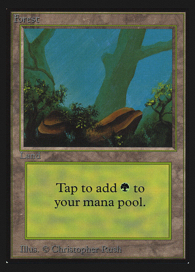 Forest (#300) [CollectorsÃ¢â‚¬â„¢ Edition]