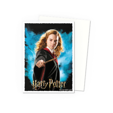 Dragon Shield Matte Art Standard Size Sleeves 100ct